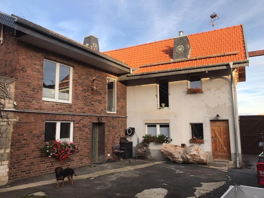 Ferienwohnung Felinenhof Weilerswist Exterior photo
